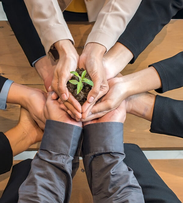 valores EMPRESA DE LOGÍSTICA INTEGRADA